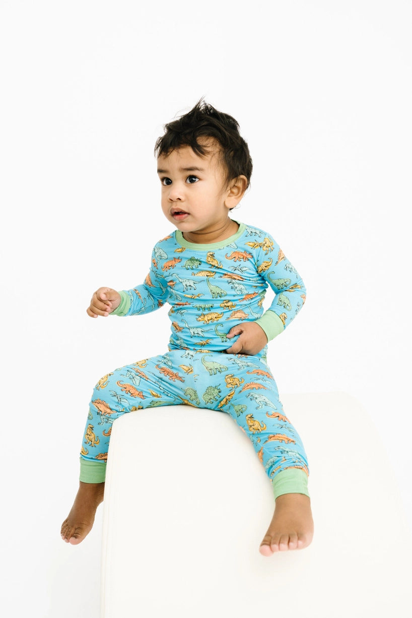 Dino Land Bamboo Set