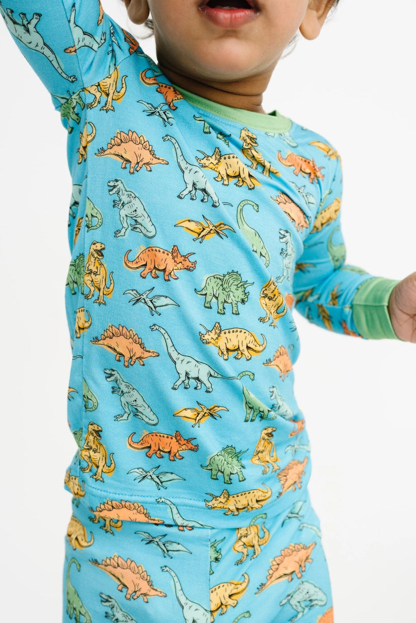 Dino Land Bamboo Set