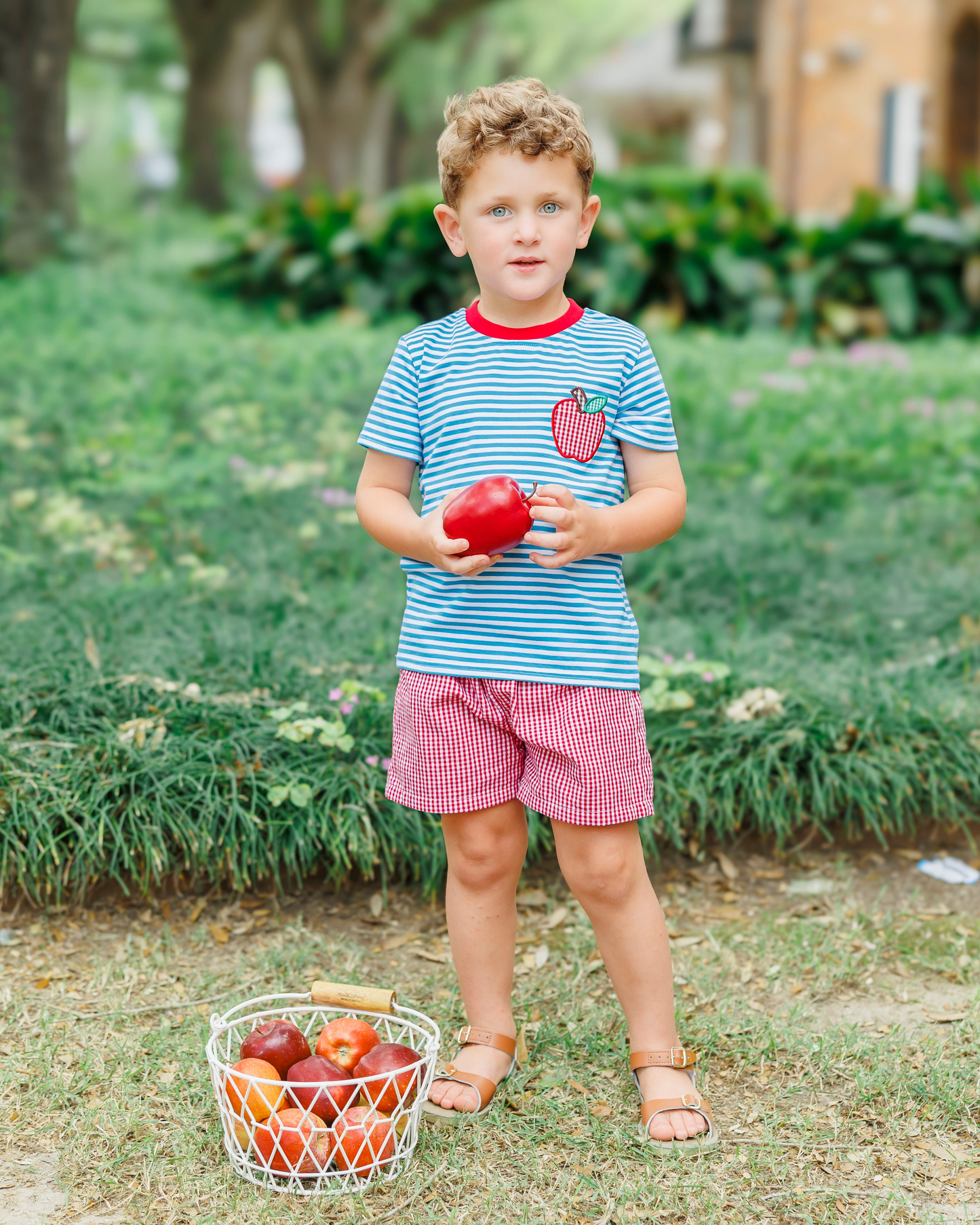 Apple Pocket Applique Short Set